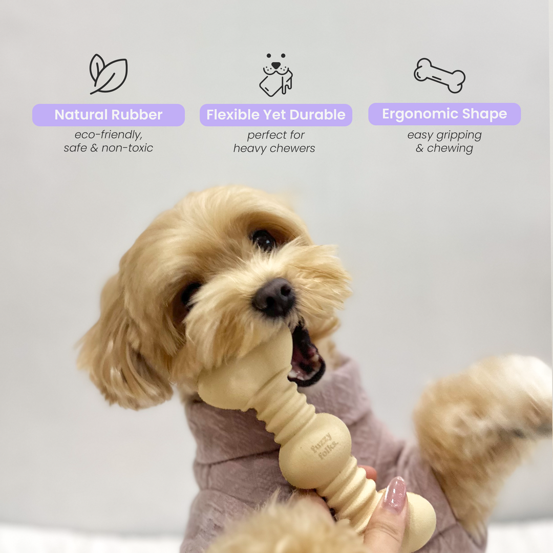 CHEWIE Natural Rubber Bone Chew Toy