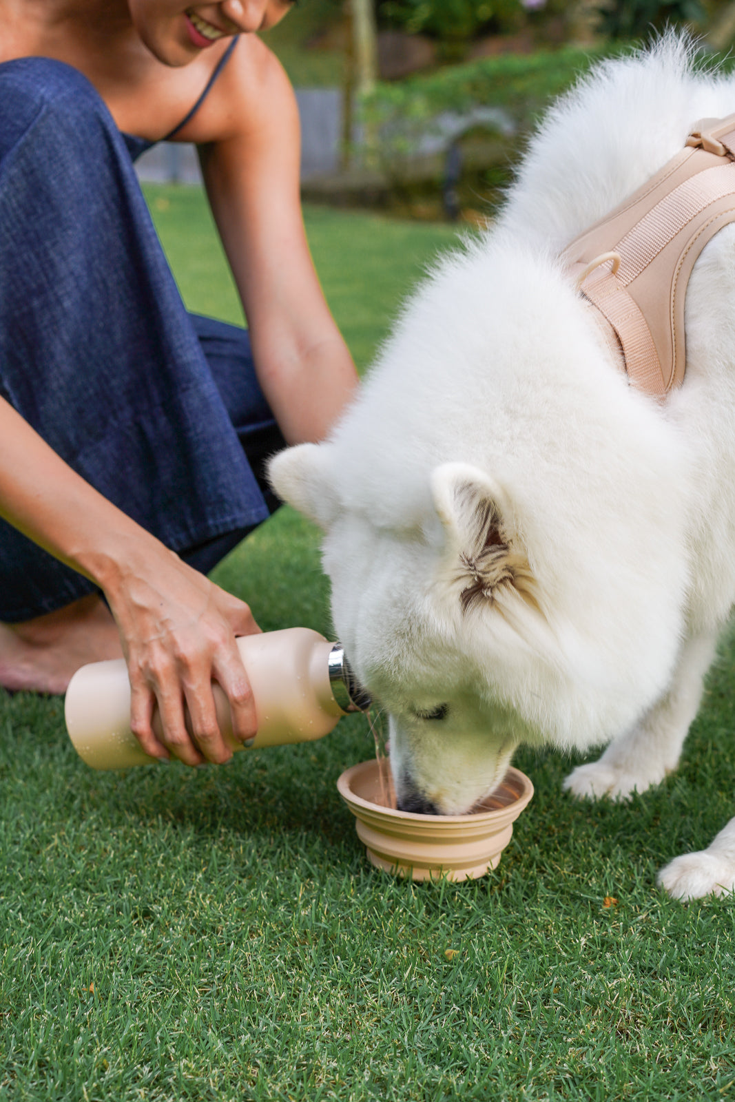 On the Go Collapsible Bowl