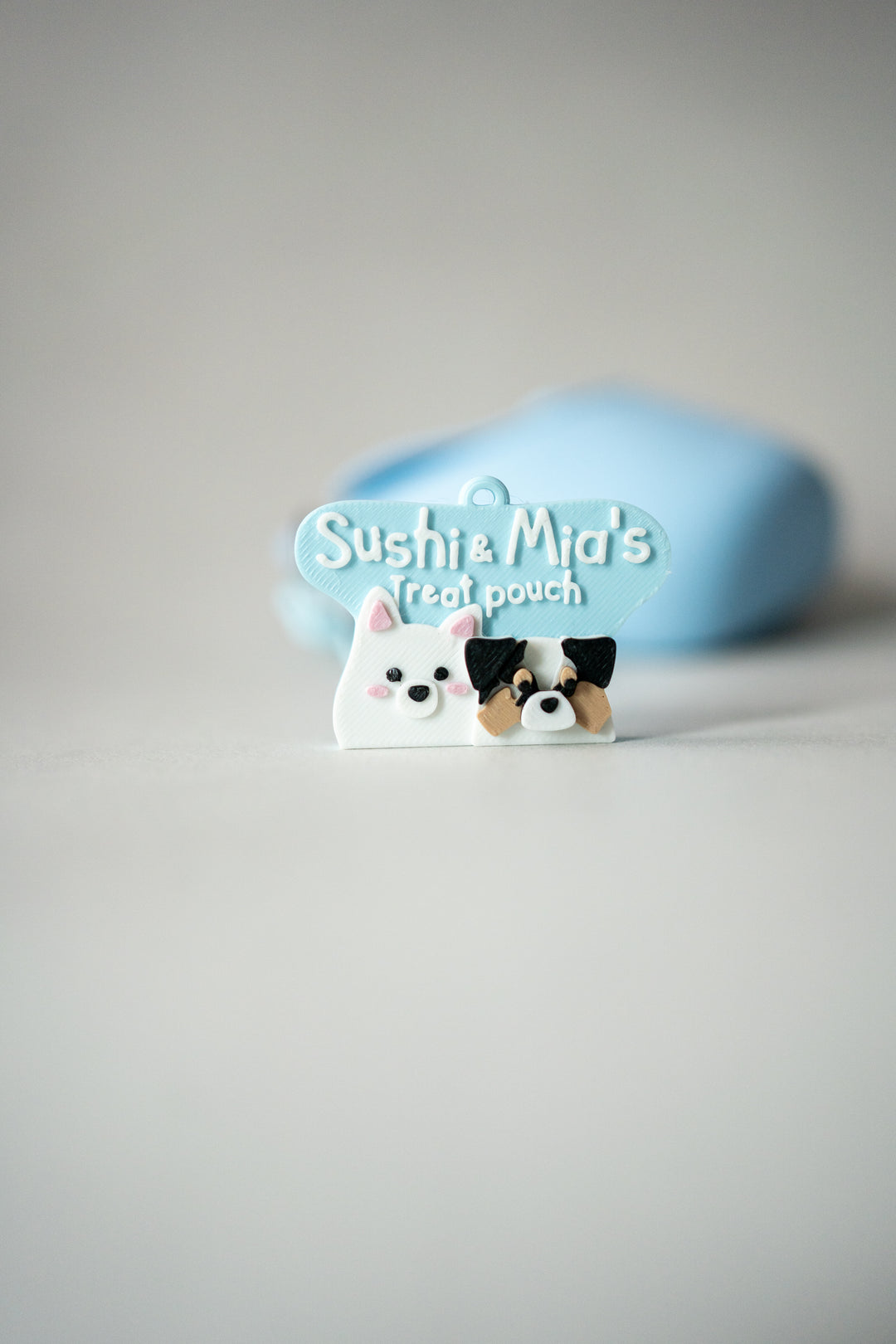 Clamshell Treat Pouch // Treat Pouch X Prosopa Set