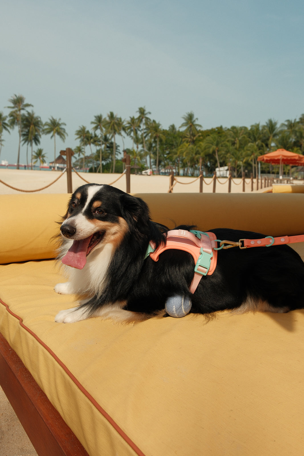 Gone Exploring Harness V2.0