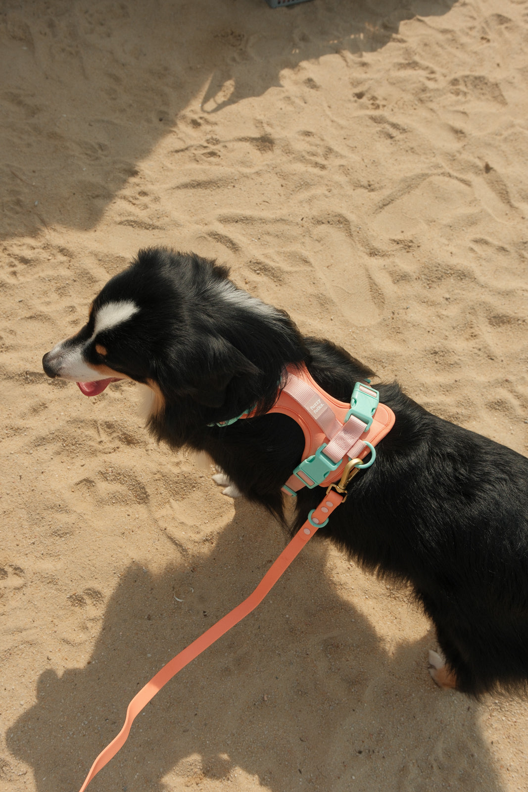 Gone Exploring Harness V2.0