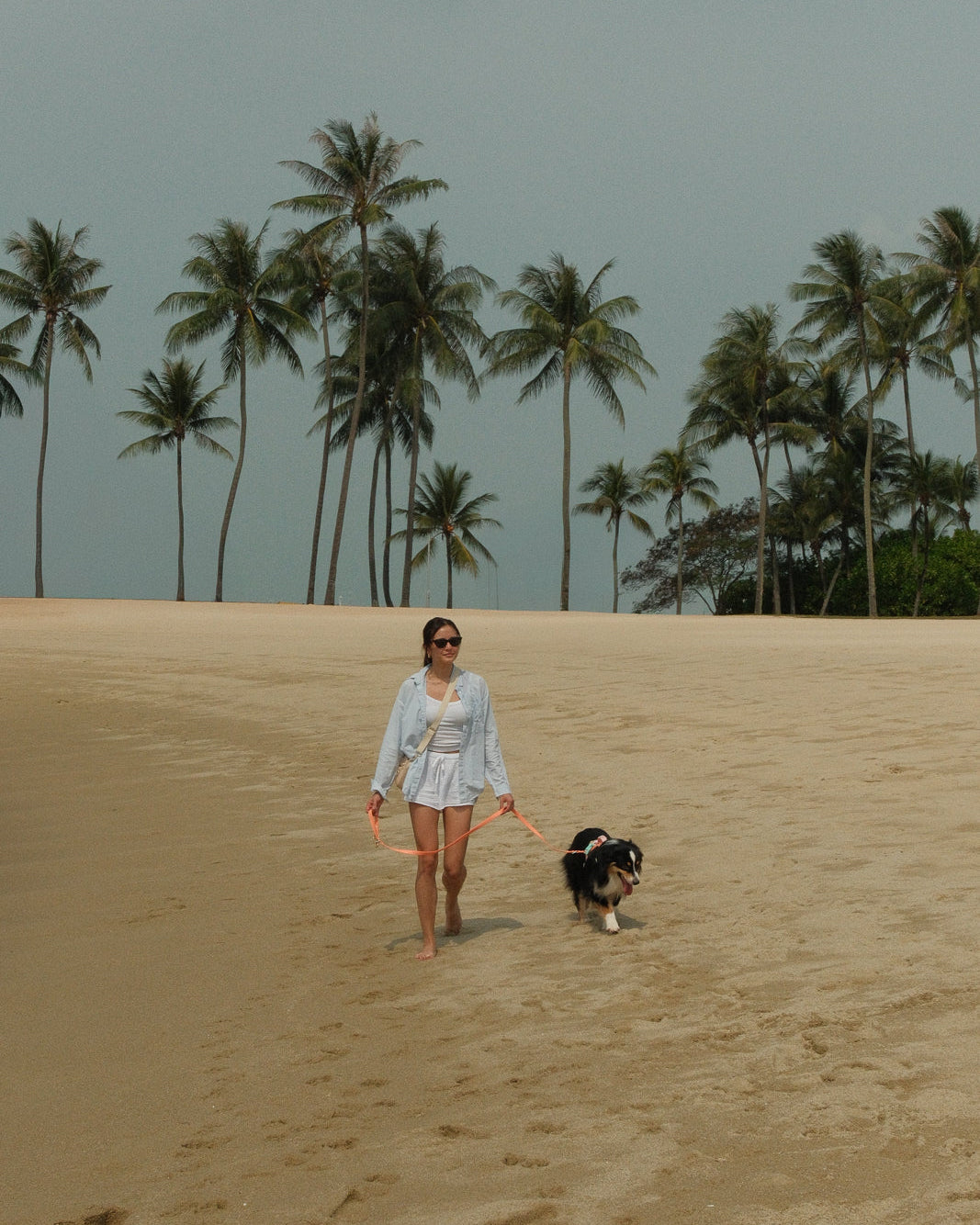 Gone Exploring Harness Walk Set V2.0