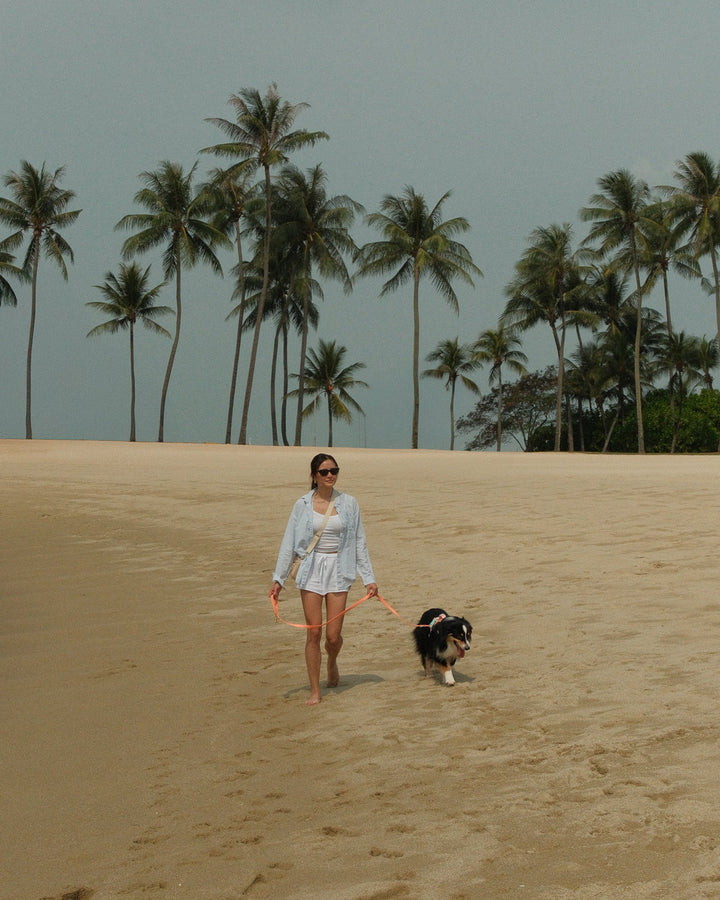 Gone Exploring Harness Walk Set V2.0