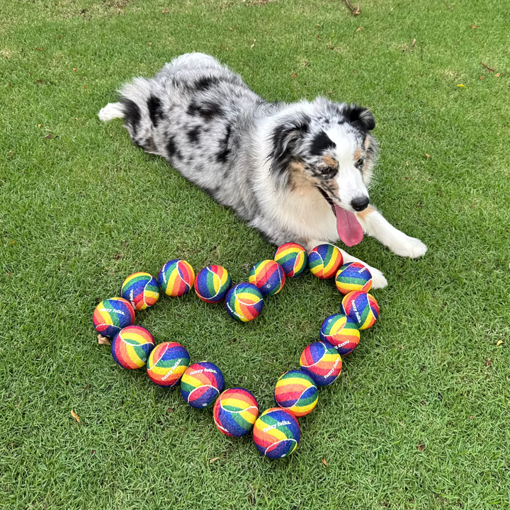 Limited Edition Rainbow Tennis Balls