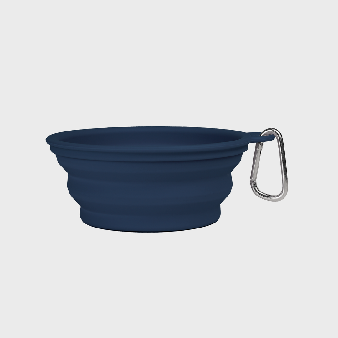 On the Go Collapsible Bowl