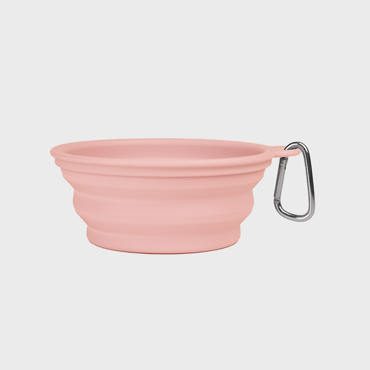 On the Go Collapsible Bowl