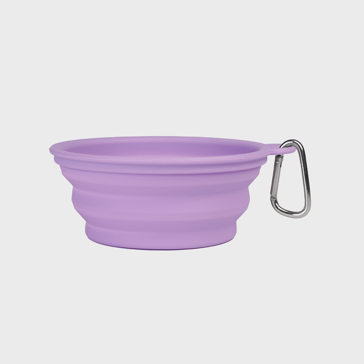 On the Go Collapsible Bowl