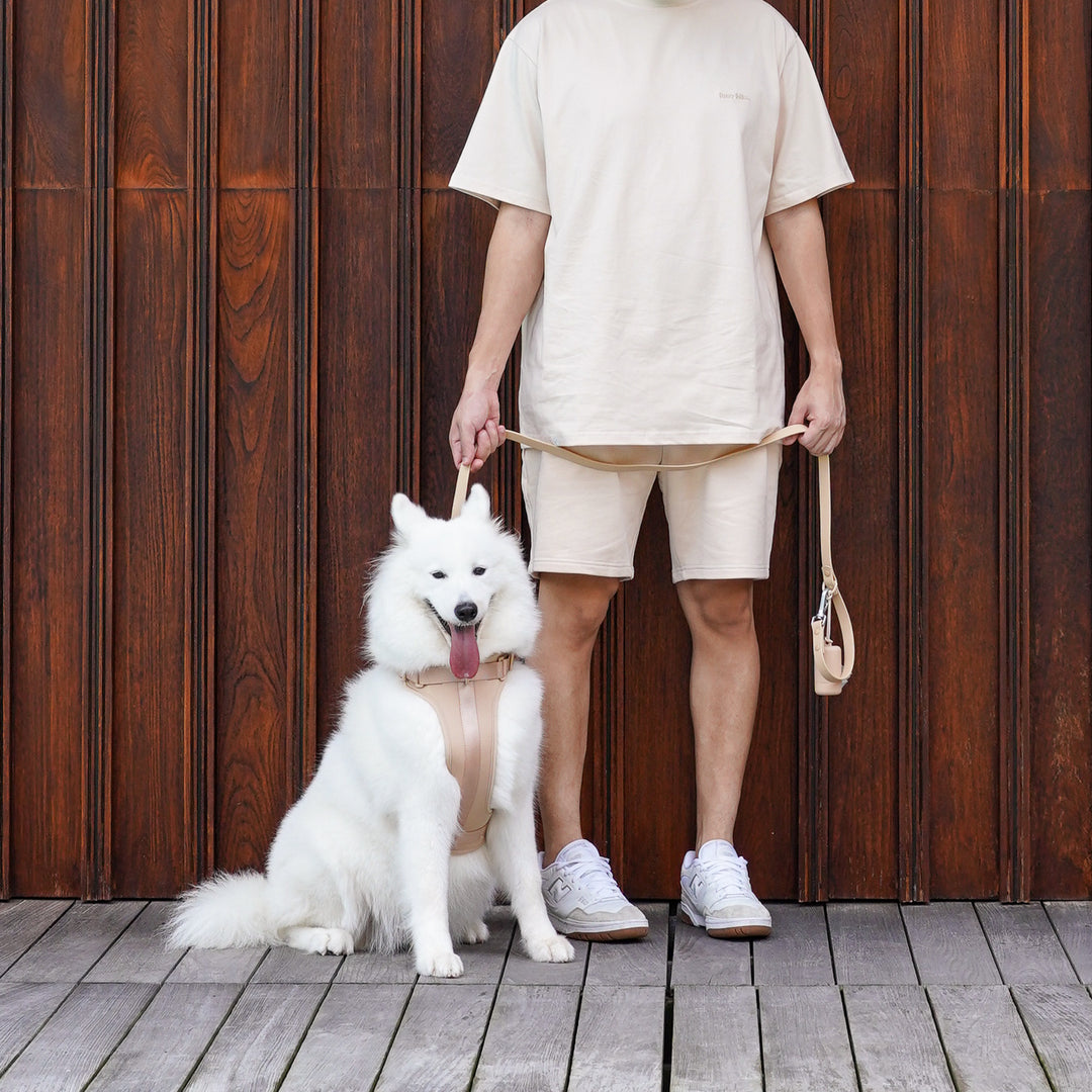 Comfy All Day Long Shorts