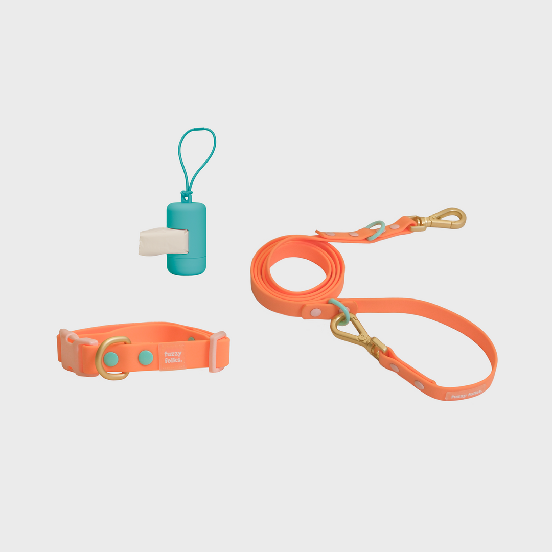 Gone Exploring Collar Walk Set