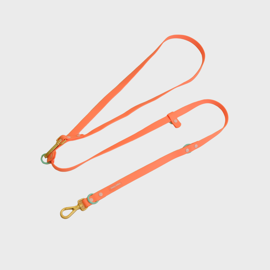 Gone Exploring Hands Free 6-in-1 Leash