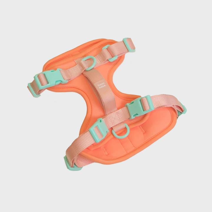 Gone Exploring Harness V2.0