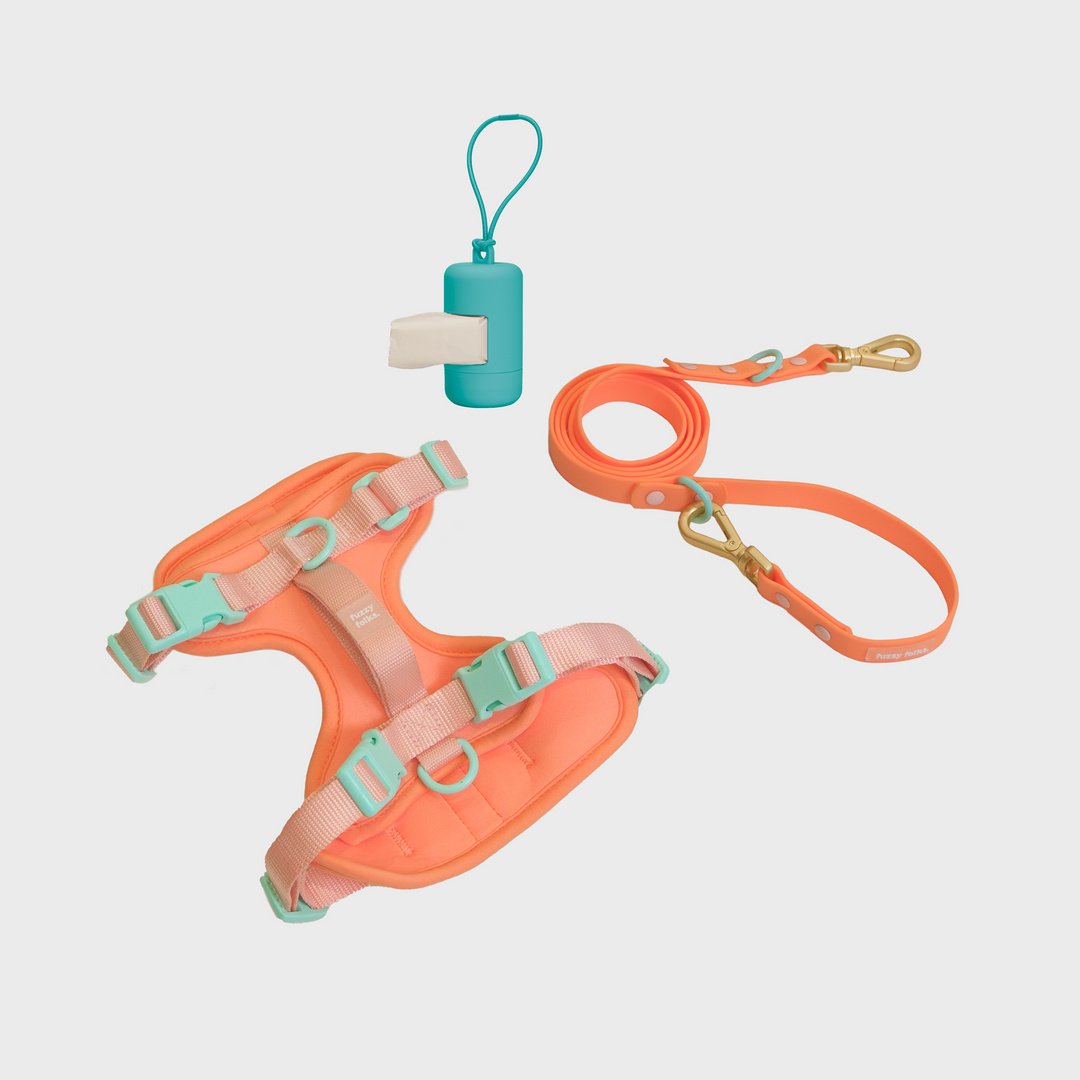 Gone Exploring Harness Walk Set V2.0