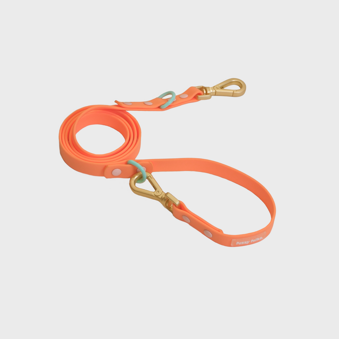 Gone Exploring Leash