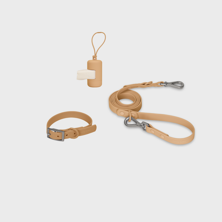 Gone Exploring Collar Walk Set