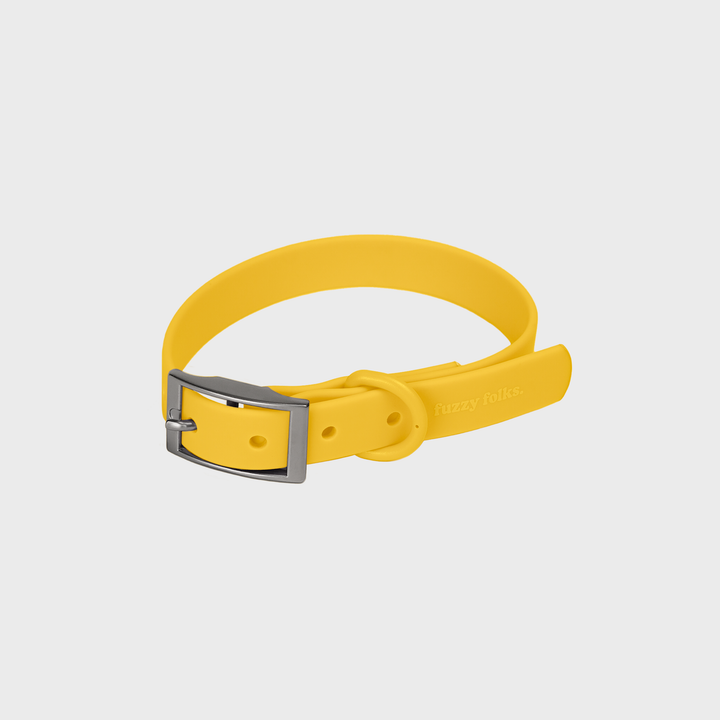 Gone Exploring Dog Collar