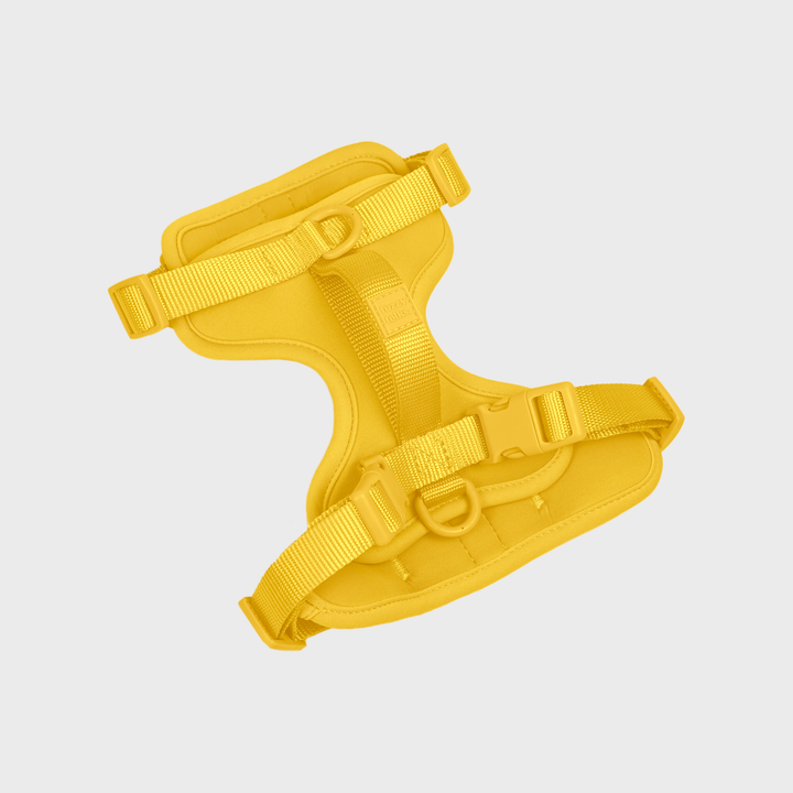 Gone Exploring Harness V2.0