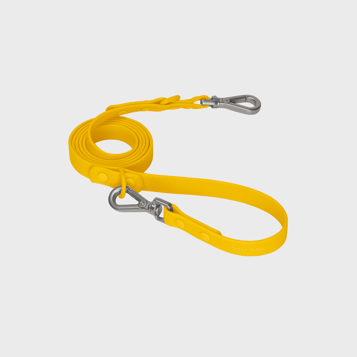 Gone Exploring Leash