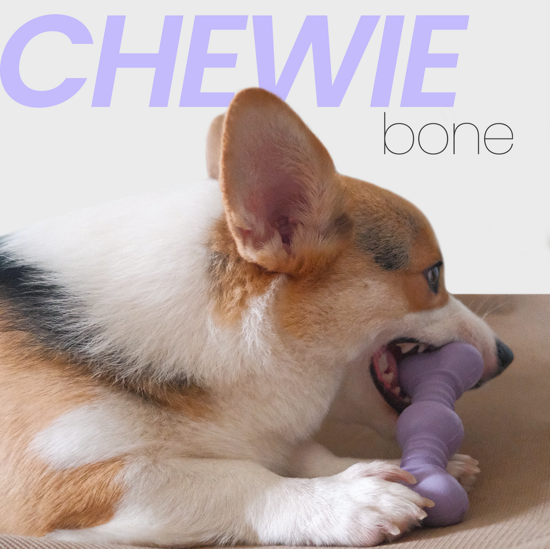 CHEWIE Natural Rubber Bone Chew Toy