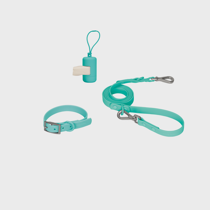 Gone Exploring Collar Walk Set