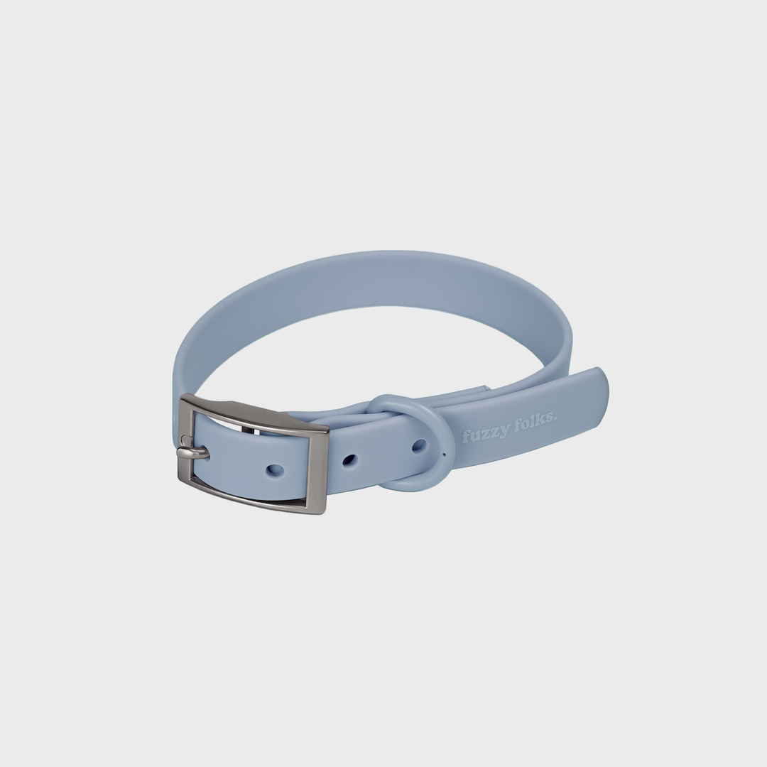 Gone Exploring Dog Collar