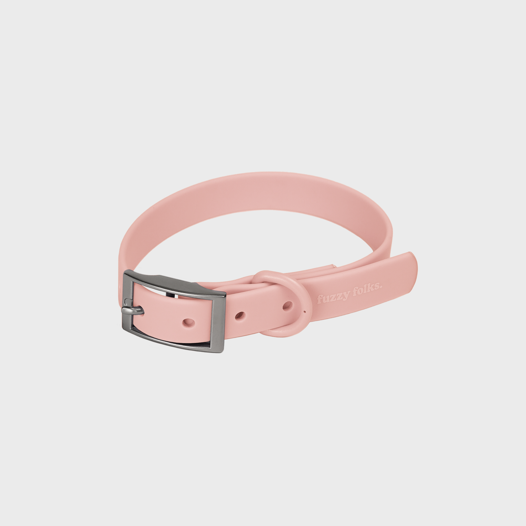 Gone Exploring Dog Collar