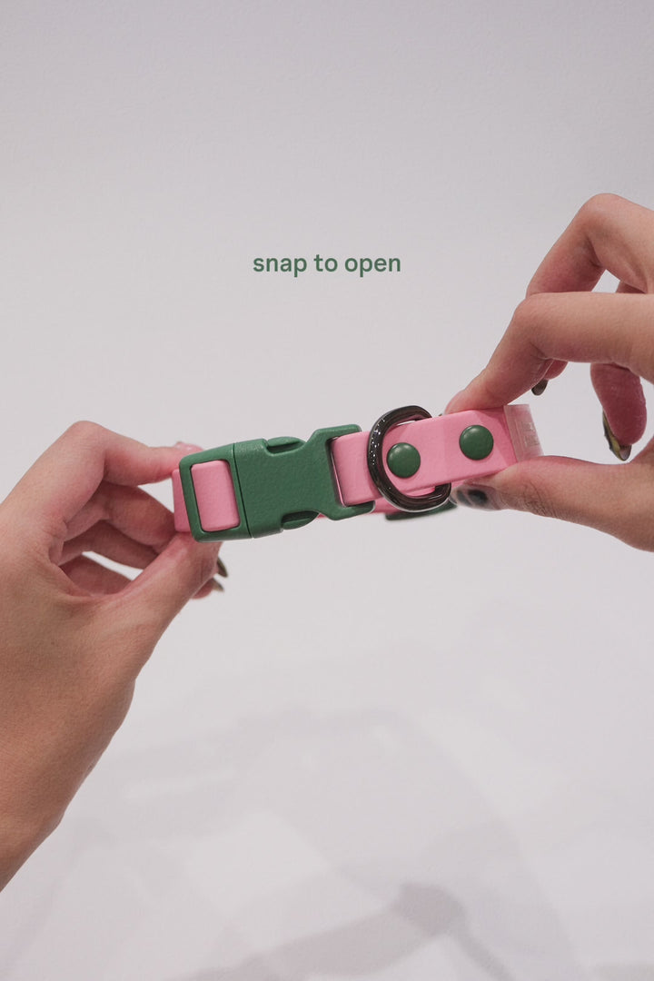 Easy Snap Collar